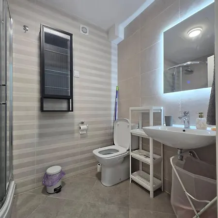 Pelusa 10 *